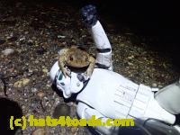 /home//u458753944/public_html/sourcegallery/////////////////////////////Roxborough Toad Detour/2021/2021-04-11/P4110235.JPG